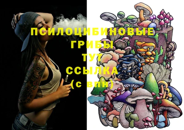 прущие крисы Надым